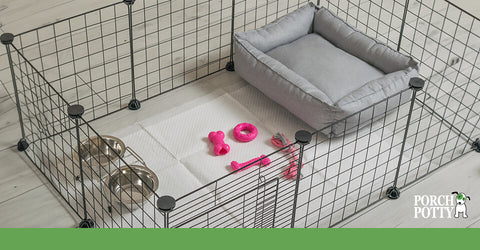 A gated off area set up for a puppy