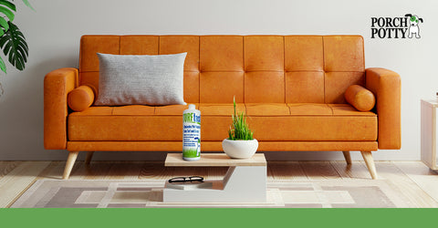 TURFtastic is not just a great dog potty cleaner, it also works on carpet and upholstery.