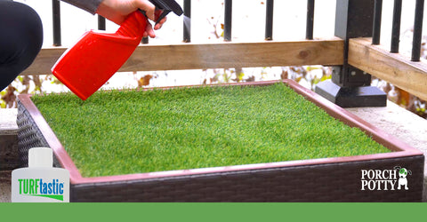 A woman cleaning artificial grass with TurfTastic odor eliminator