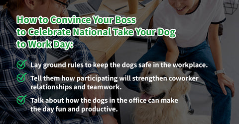 https://cdn.shopify.com/s/files/1/0310/8093/9564/files/PorchPotty_Bring-Your-Dog-to-Work-Day-Blog-image_5_-960x500_480x480.jpg?v=1656104535