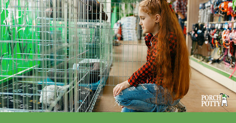 A little girl with long red hair kneels in front of a wire crate