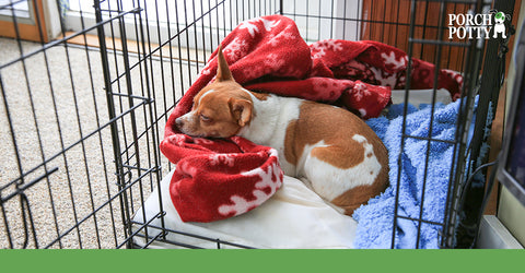 A puppy sleeping cuddled up in blanket in a crate