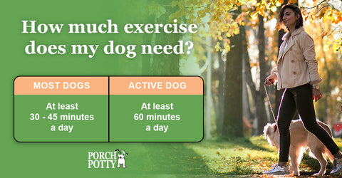 Most dogs need at least 30 minutes of exercise a day, whereas active breeds will need at least 60 minutes a day.