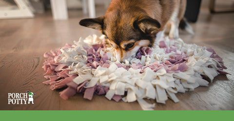 Hiding your dog's kibble in snuffle mats can provide the equivalaent of 30 minutes of stimulation!