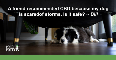 Donner is afraid of thunderstorms, can Bill give him CBD to help?