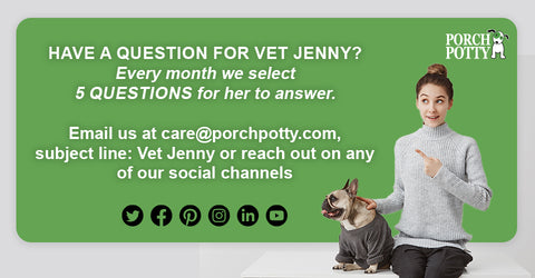 Questions for Vet Jenny? Send us an email at care@porchpotty.com or reach out to us on any of our social channels!