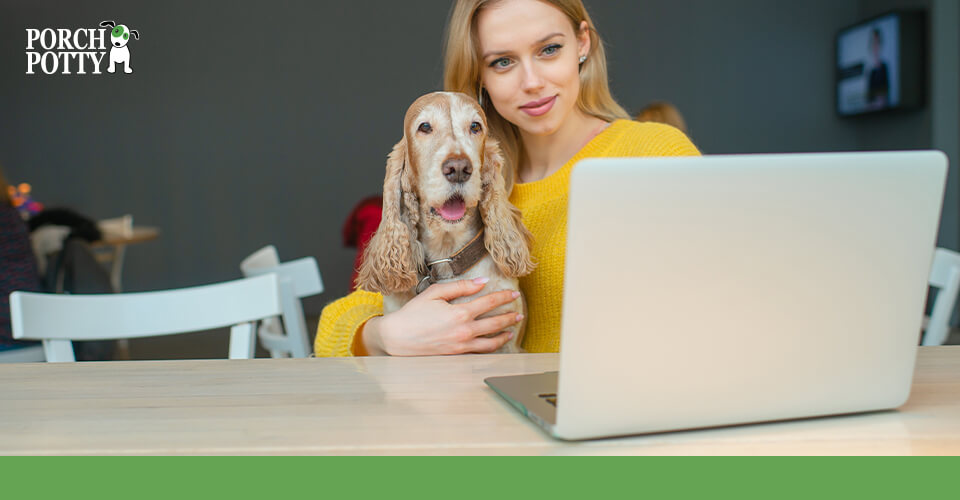 A dog owner and her Irish Setter do some research together on a laptop