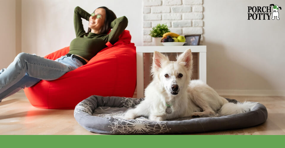 A young woman relaxes on a bean bag chair with cucumber slices on her eyes as her dog lays down on a dog bed