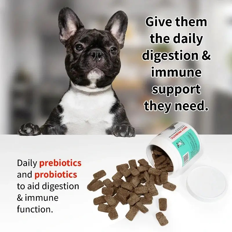 what is the best probiotic supplement for dogs