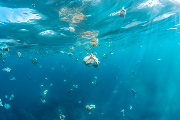 ocean with pollution | why sustainability is important