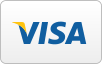 icono visa