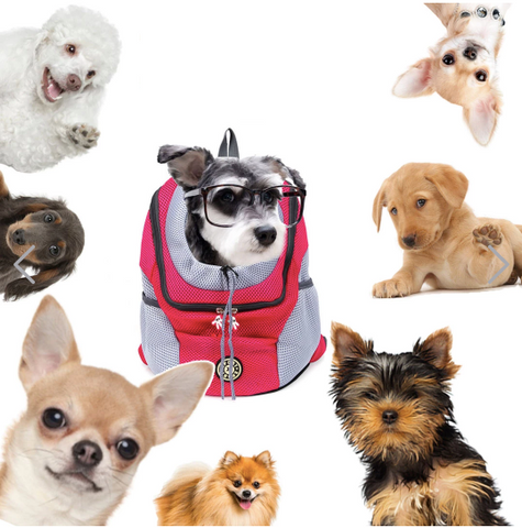 Hunde-Tragerucksack für kleine & mittelgroße Hunde bis max. 11 kg - super bequem & größenverstellbar_