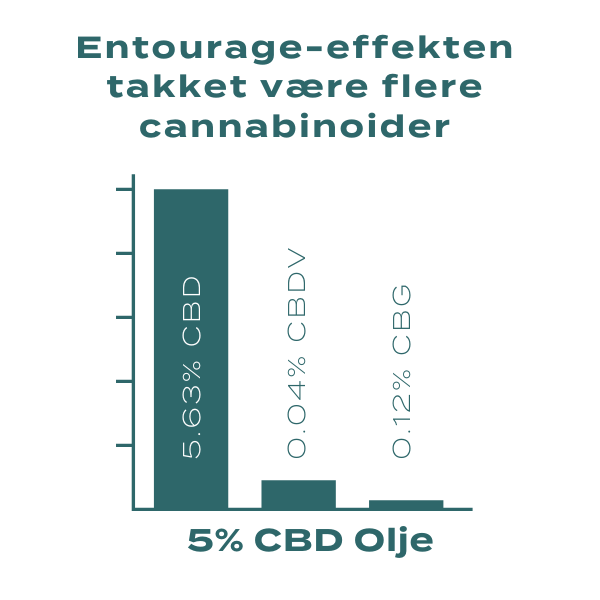 Entourage-effekten takket være flere cannabinoider