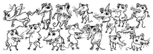 Opossums