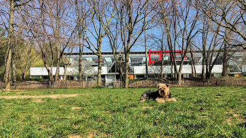 Parc de la Villette : Balade pour chien à Paris 19