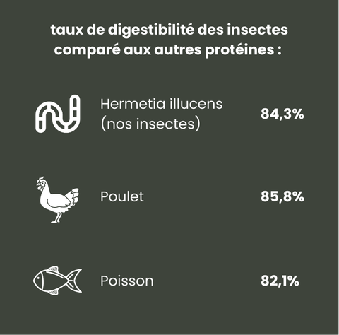 digestion digestibilité chien insecte croquette