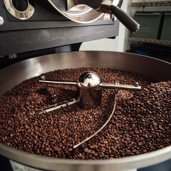 Roasted coffee in the cooling tray of a Giesen roaster