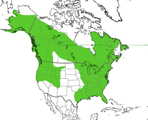 distribution loutre de rivière en amerique du nord