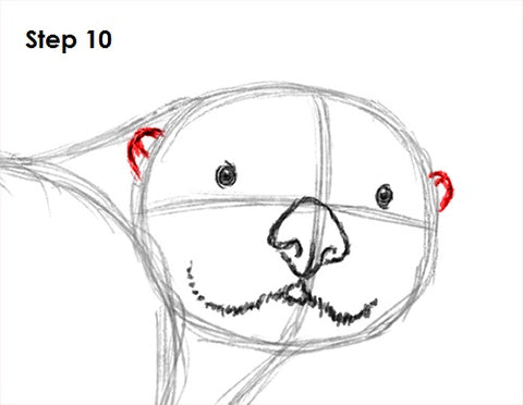 étape 10 dessin d'une loutre de mer 