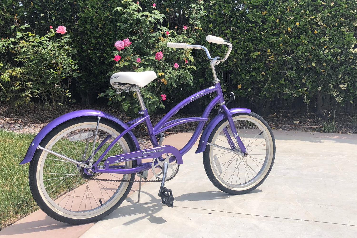 purple beach cruiser bike