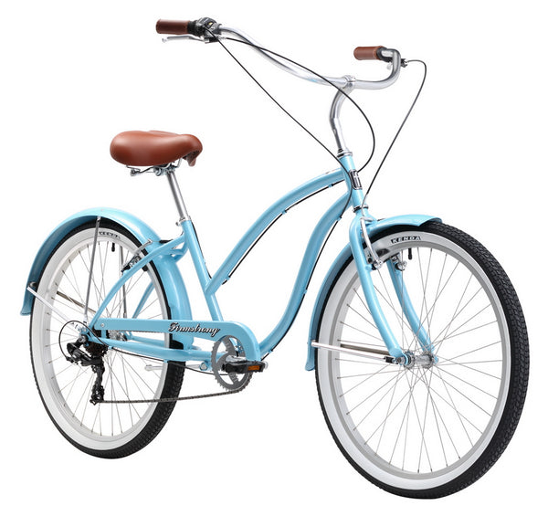 beach cruiser rear basket