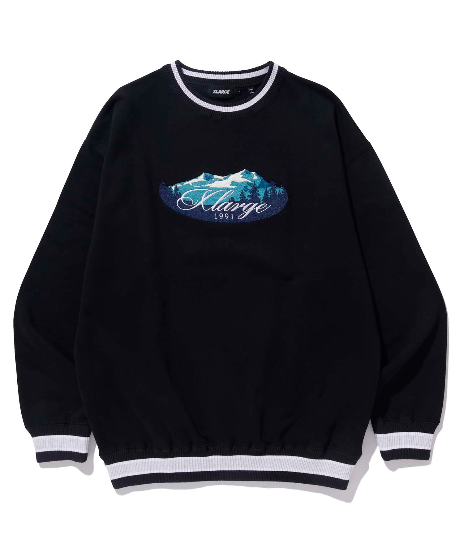 VARSITY LOGO CREWNECK SWEATSHIRT