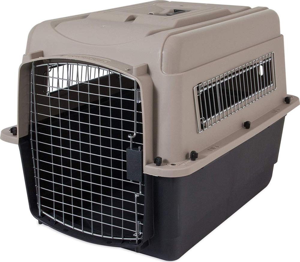 travel crate for 50 pound dog