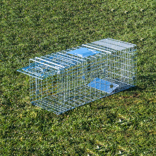 https://cdn.shopify.com/s/files/1/0311/2753/products/Large_Cage_Trap_Grass_d0ebb649-aeaf-4d40-b36b-46b8f2d4eda2_512x512.jpg?v=1571438734