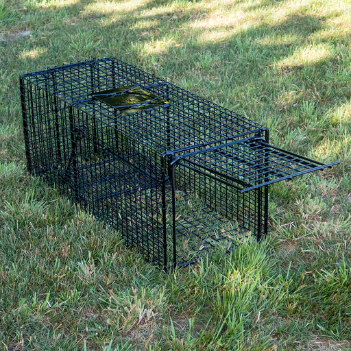 Medium Cage Trap, Cat Trap