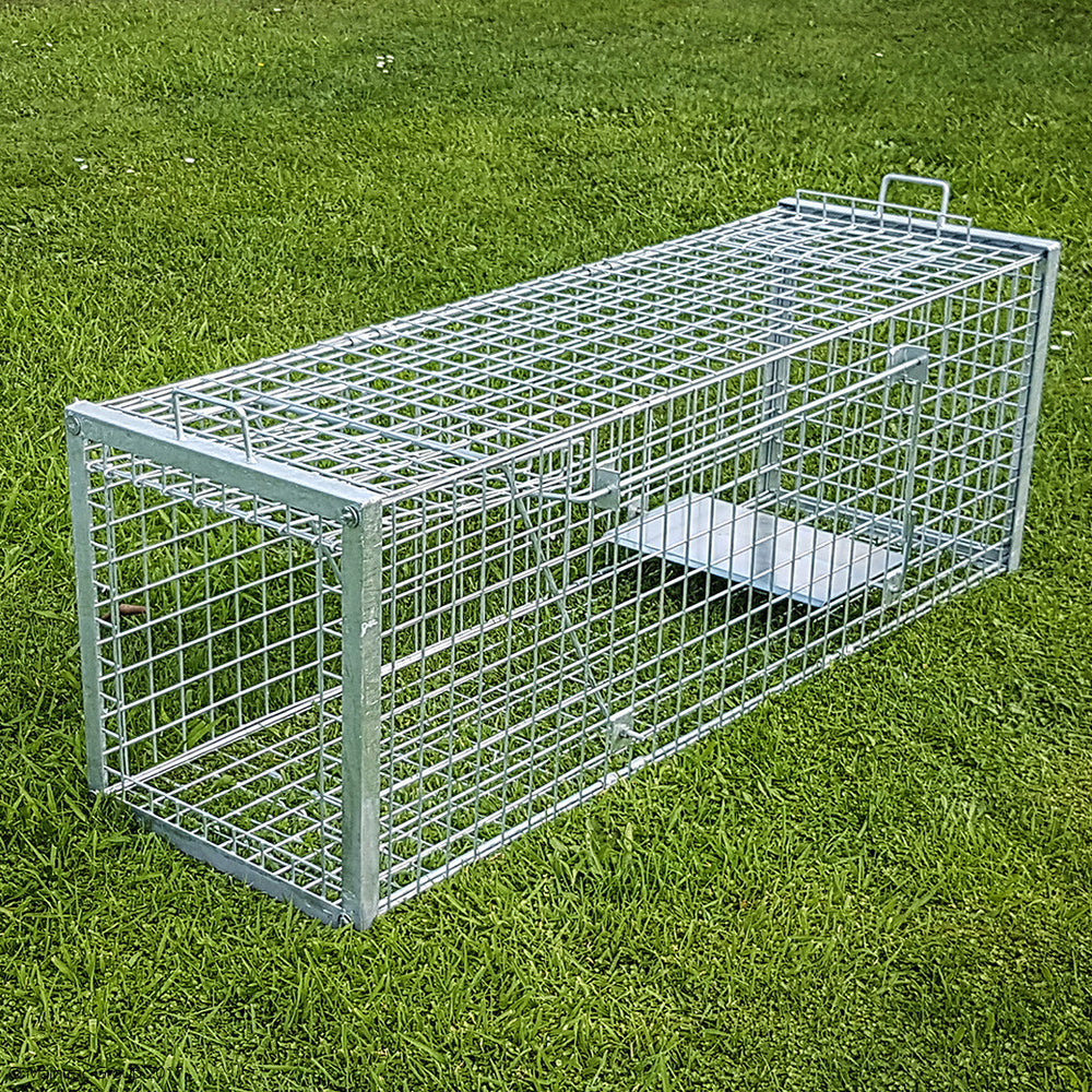 Dog Large Animal Trap Maintrac Group   Dog Trap 1000x1000 