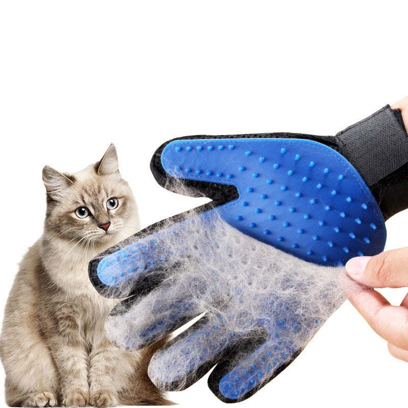 grooming glove for cats