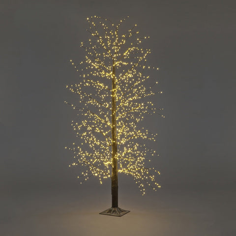 Image of the Snowtime Black Micro Dot Tree is a modern LED, available at DeWaldens Garden Centre.