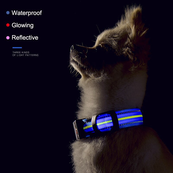 waterproof lighted dog collars