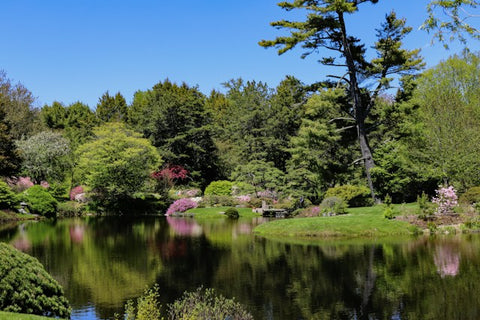 water feature maintenance for large features like ponds