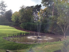 Water feature in the middle of a garden