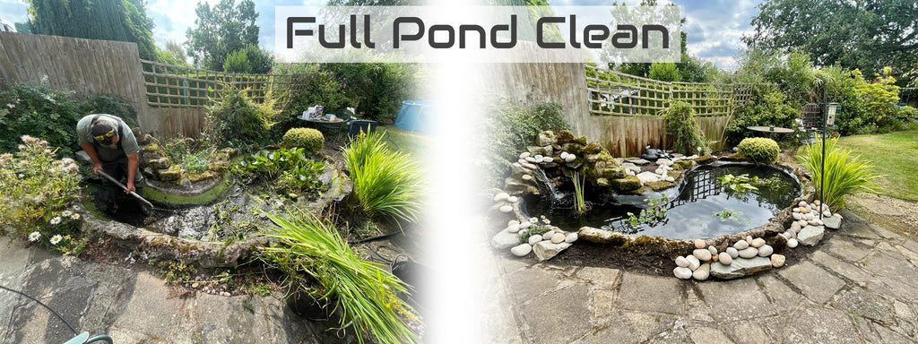 Pond Services, Professional Pond Cleaning