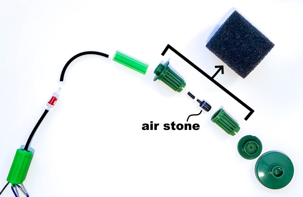 air stone in a sponge filter