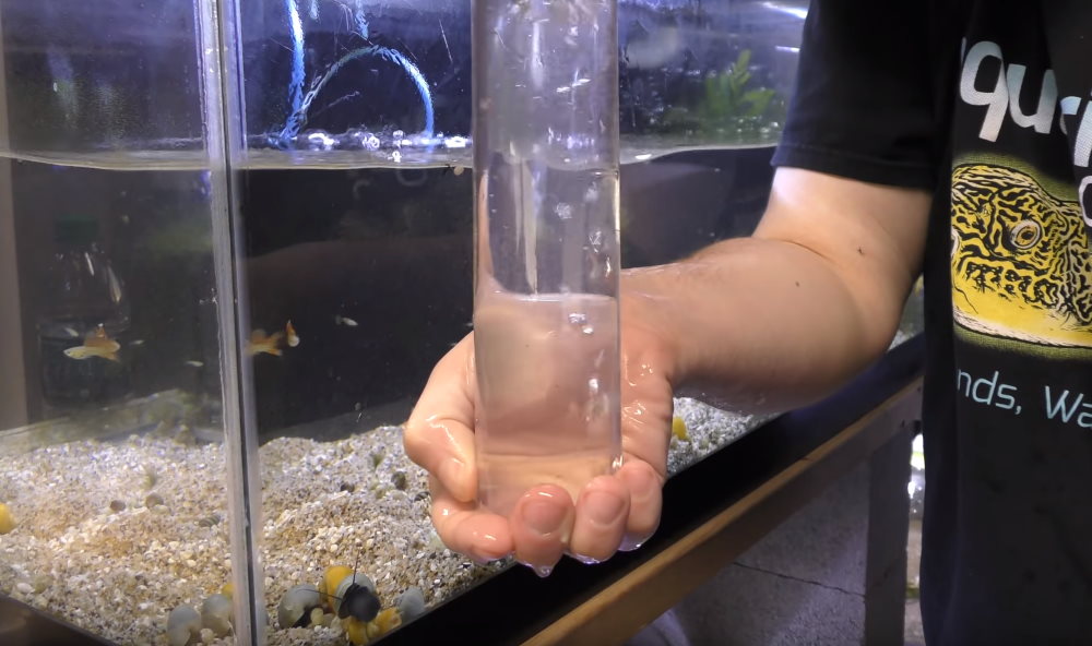 How to Use a Gravel Vacuum or Aquarium Siphon to Clean Fish Tanks