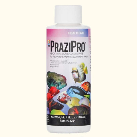 Hikari Medicine 4oz Aquarium Solutions PraziPro