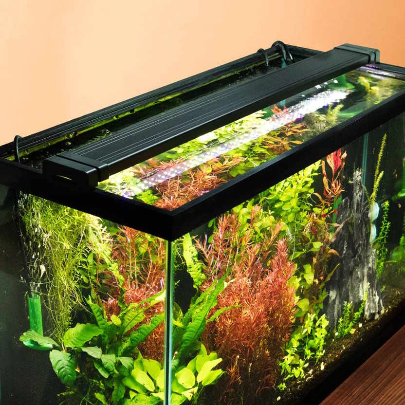Aquarium Co-Op Easy Plant LED