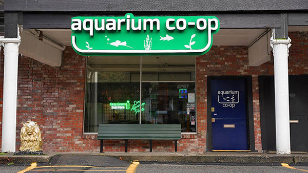 Aquarium Co-Op store front 2023