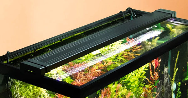 LED Light Guide for Planted Aquariums – Aquarium Co-Op