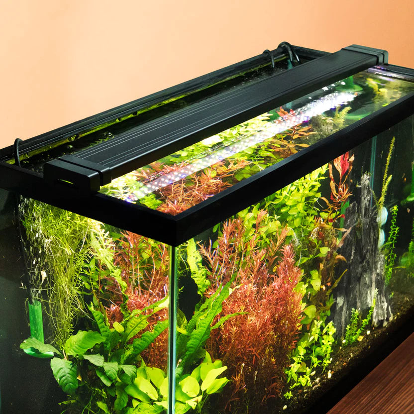 Do it Yourself (DIY) LED Aquarium Lighting System