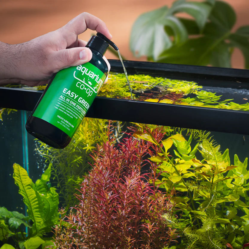 Top 6 aquarium plants that grow well with no soil in planted tank - The 2Hr  Aquarist