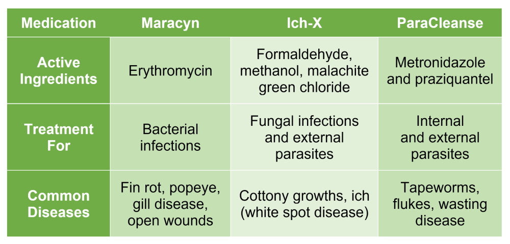 Chart of quarantine medication trio for fish