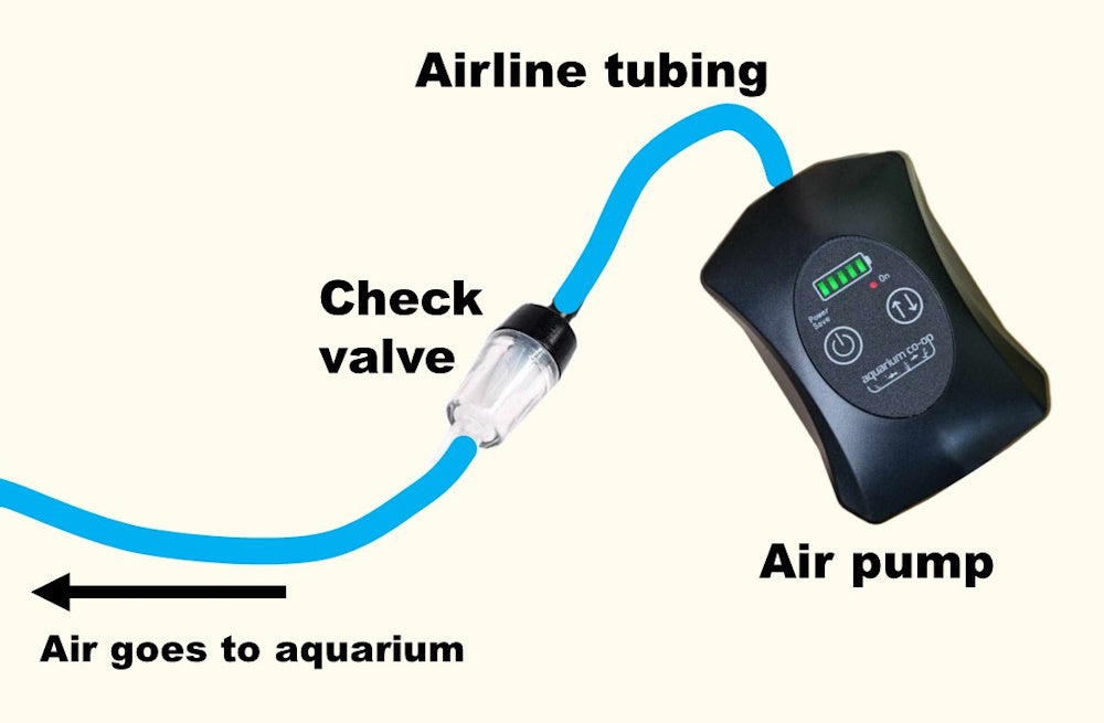 Step 5 check valve