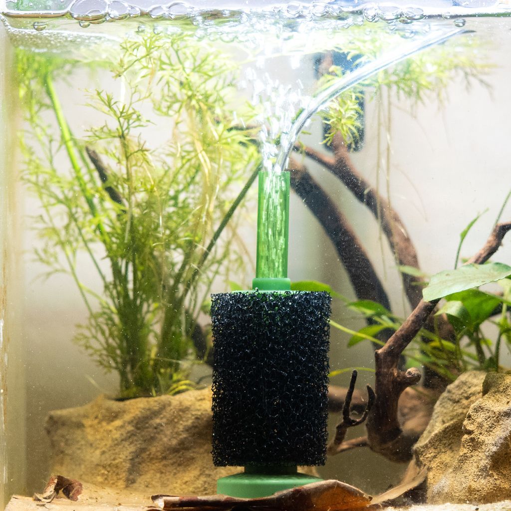Aquarium Co-Op sponge filter