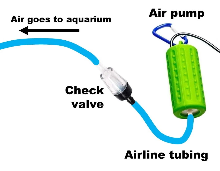 Step 7 attach the check valve to the air pump