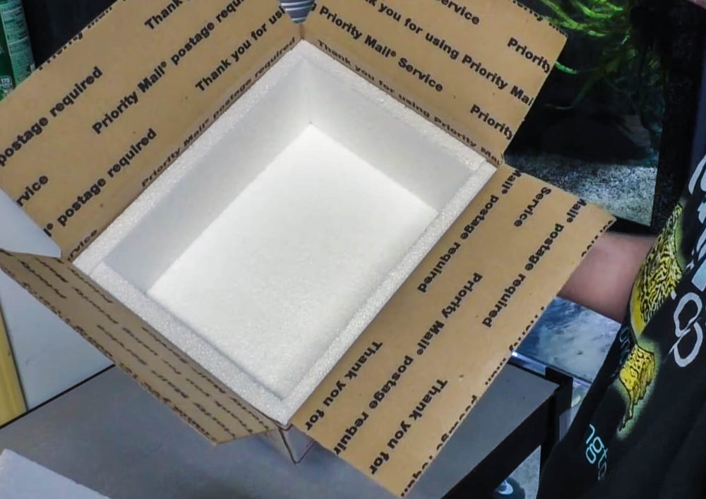 How to Safely Package and Ship Live Aquarium Fish in the Mail – Aquarium  Co-Op