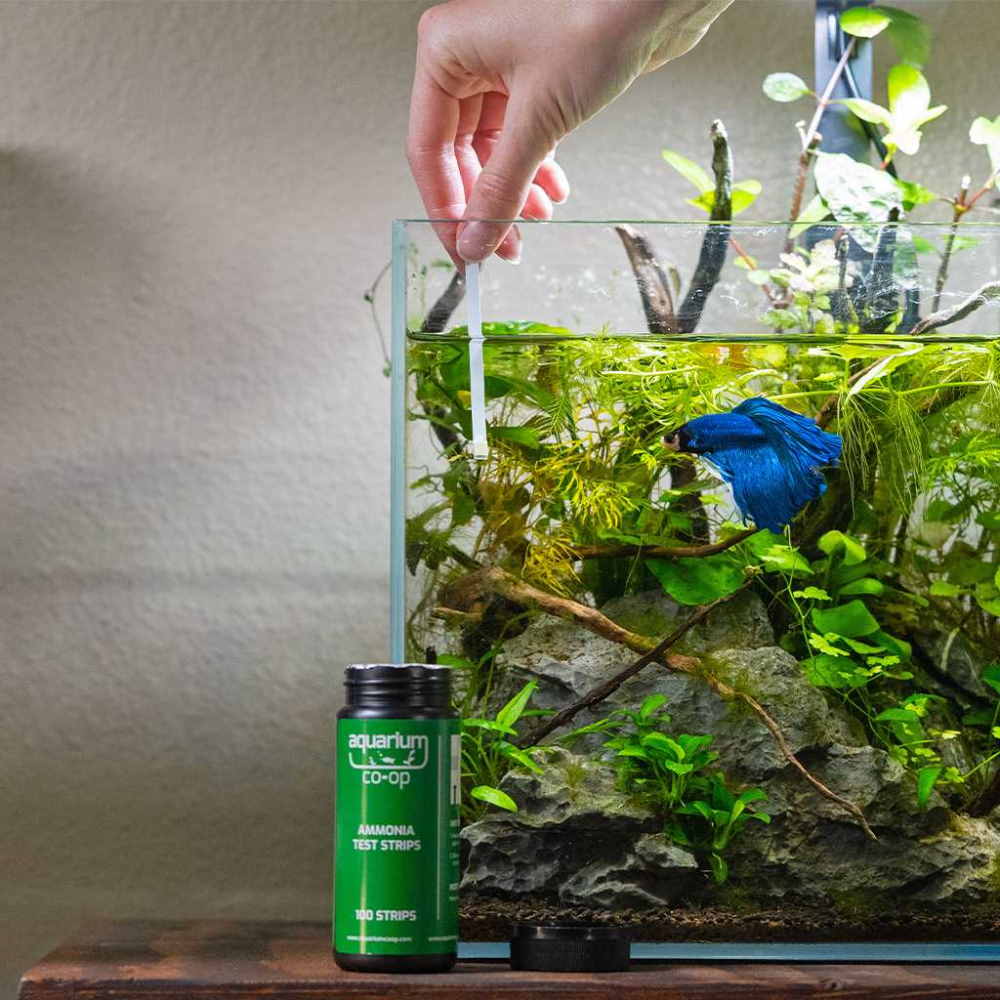 What test kits should I buy for my aquarium or planted tank?